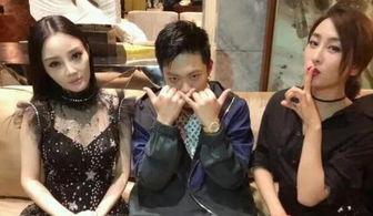 在娱乐圈吃瓜小说,揭秘明星背后的秘密与八卦风云