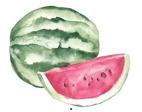 网上吃瓜的意思,揭秘网友围观背后的娱乐狂欢