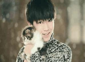 娱乐圈吃瓜爆料吴磊赵今麦,娱乐圈新恋情曝光？