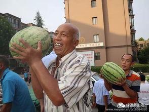 吃瓜娱乐照片大全