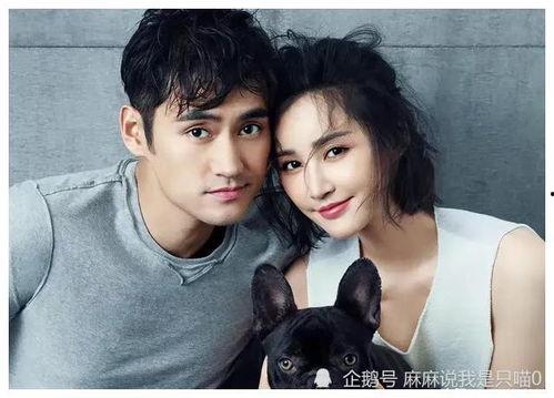 娱乐圈夫妻吃瓜爆料视频,吃瓜爆料视频大揭秘