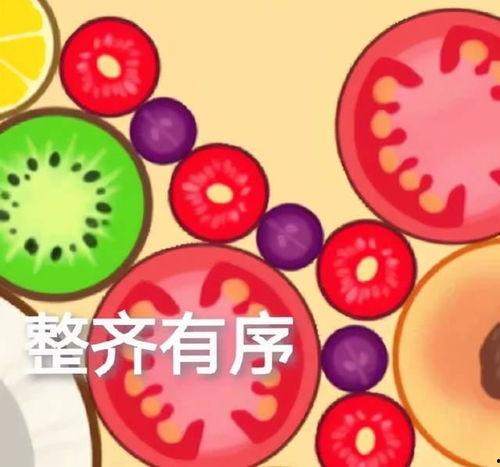 吃瓜娱乐达人,吃瓜达人的娱乐盛宴